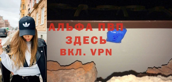 дмт Ладушкин