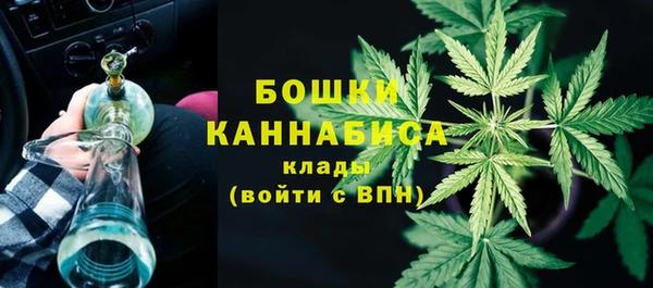 дмт Ладушкин