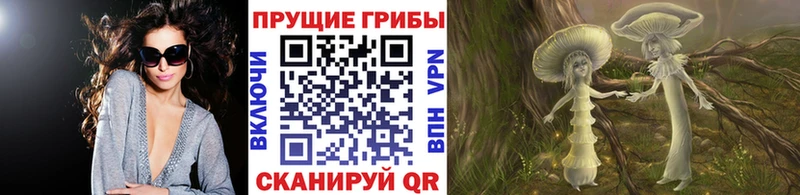 Галлюциногенные грибы Psilocybine cubensis Кондрово